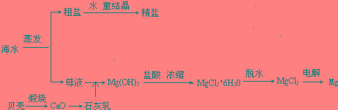 金属镁冶炼方法